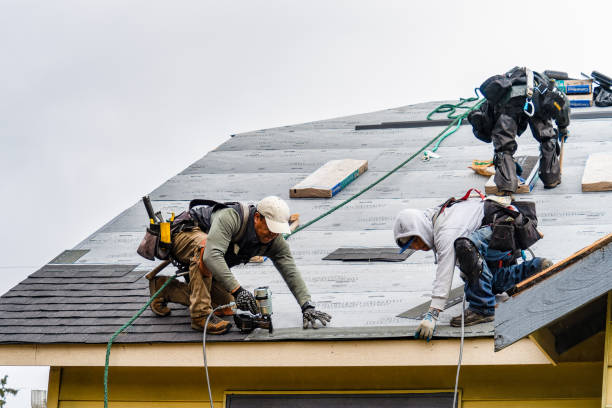 Professional Roofing technician working in Summerville, OR
